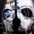 :iconscgmd3master3001: