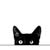 :iconschaufensterpuppe: