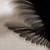 :iconschaulust: