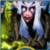 :iconschierke: