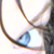 :iconschildmiez: