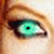 :iconschitzotwil: