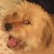 :iconschizomania:
