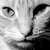 :iconschlafend: