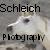 :iconschleich-photography: