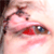 :iconschlomotions: