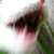 :iconschma074:
