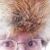 :iconschmarr: