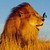 :iconschmetterlingleones: