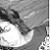 :iconschneekind: