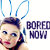 :iconschoolanswer: