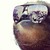 :iconschoolsketches:
