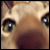 :iconschranzohr: