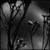 :iconschrottilaut: