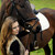 :iconschufro: