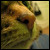 :iconschulktz: