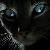 :iconschwarze-lowin: