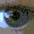 :iconschweddy:
