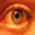 :iconschwickydrom: