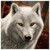 :iconsciencefinerd0725: