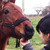 :iconsck-15: