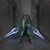 :iconscoobford: