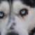 :iconscoodoo58: