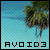 :iconscoop33:
