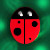 :iconscooter409: