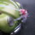 :iconscooterbug8515: