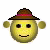 :iconscopioaris: