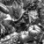 scopolamin :iconscopolamin: