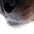 :iconscopophobia-whore: