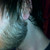:iconscoreoneforterror:
