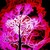 :iconscorpionpink:
