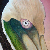:iconscott-plaster: