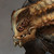 :iconscottbenefiel: