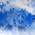 :iconscottfister: