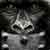 :iconscottg1031:
