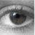:iconscottie-p: