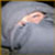 :iconscottsparx: