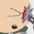 :iconscotty16050: