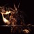 :iconscourg3-nz: