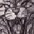 :iconscourgethecat1230: