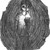 :iconscout4242: