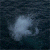 :iconscoutdog: