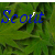 :iconscoutshellbell: