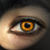 :iconScovi: