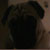 :iconscrambles216: