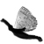 :iconscrap-kajazzee: